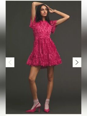 The Somerset Mini Dress: Floral Appliqué Edition Anthropologie SOLD OUT